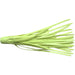 Quick Flat Rubber Spinnerbait Skirts-Chartreuse
